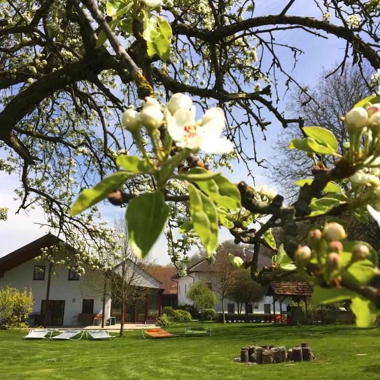 Sonnenblumenhof Casa de hóspedes Mühlheim Exterior foto
